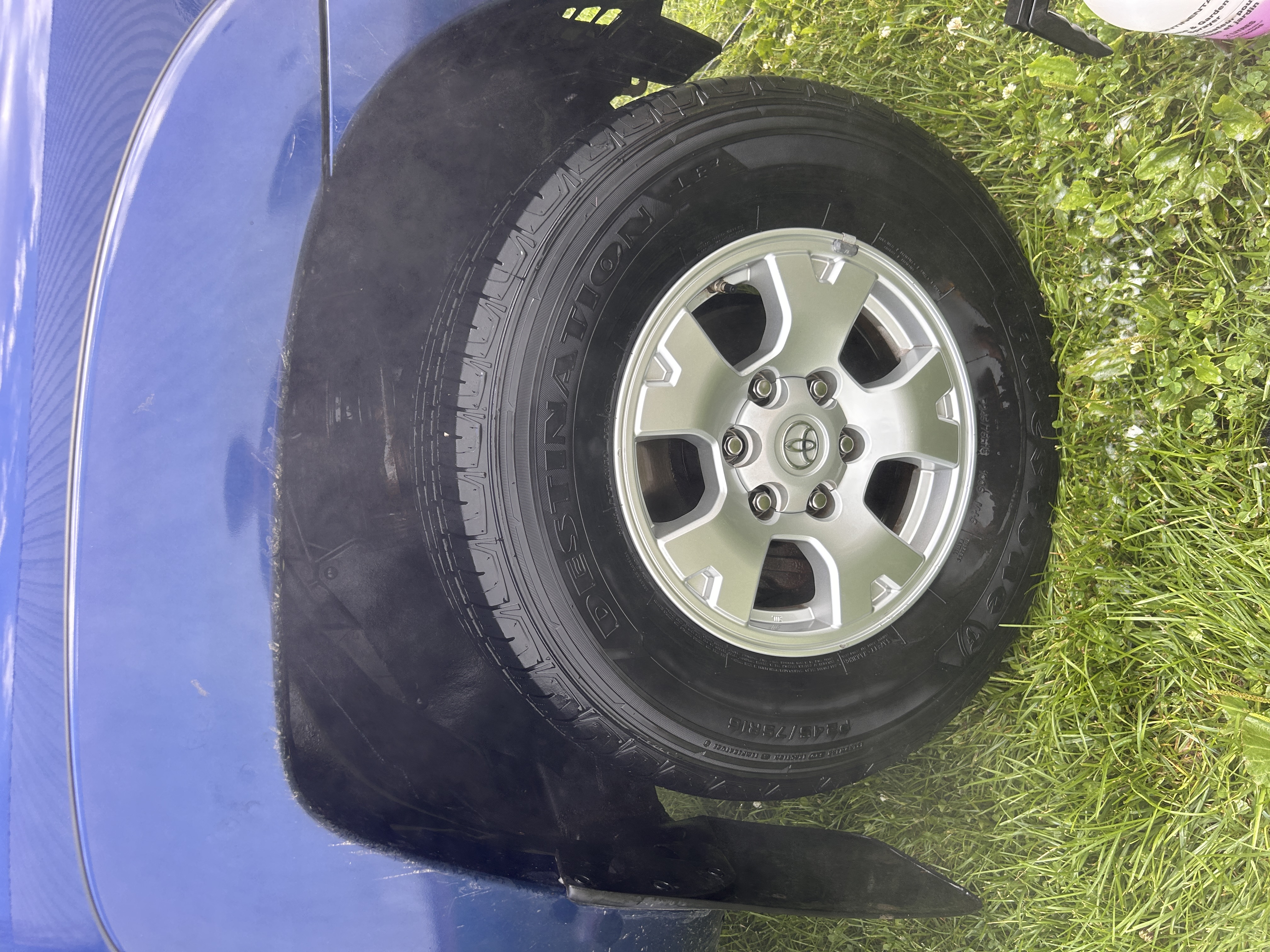Paint Correction in Stratford ON — example 3