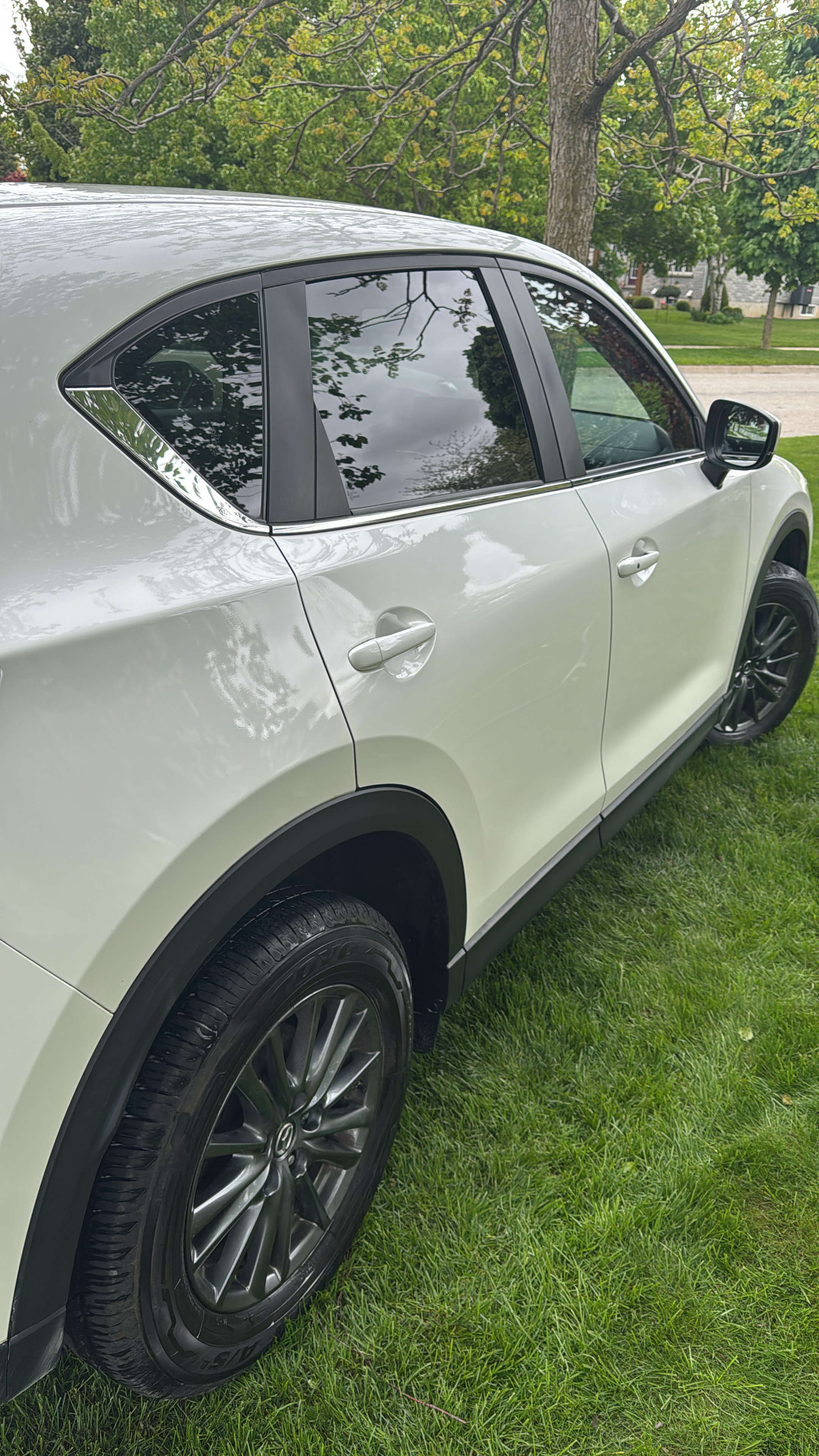 Mobile car detailing in a Stratford driveway