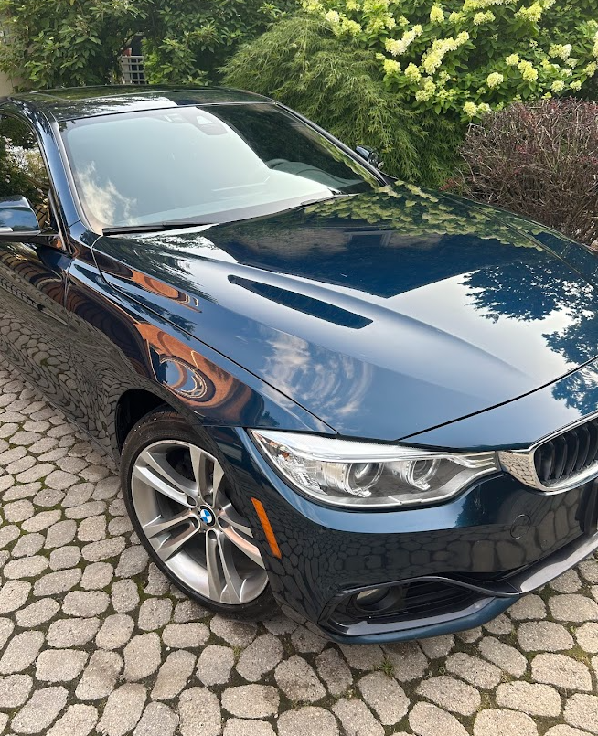 Paint correction machine polishing in Stratford ON